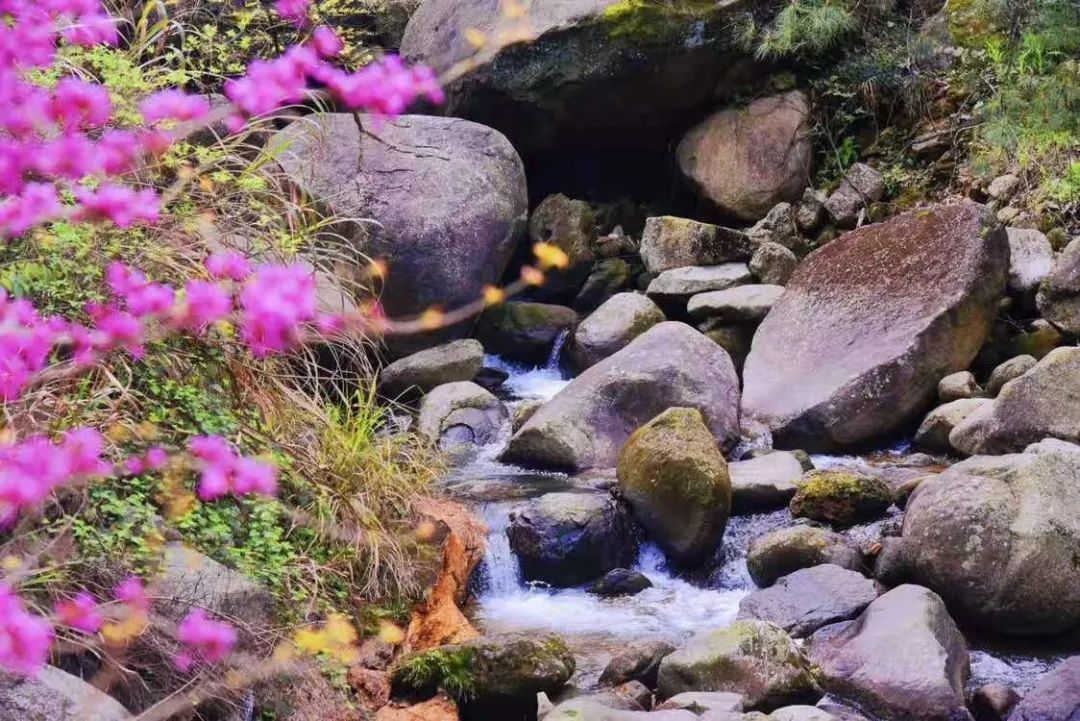 新葡的京集团8814vip(中国)股份有限公司-官方网站