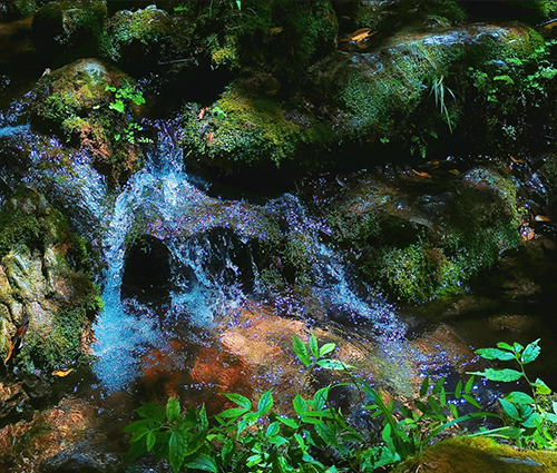 新葡的京集团8814vip(中国)股份有限公司-官方网站